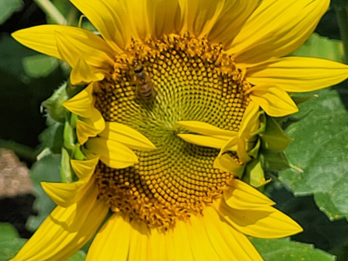 Things Are a&nbsp;Changing