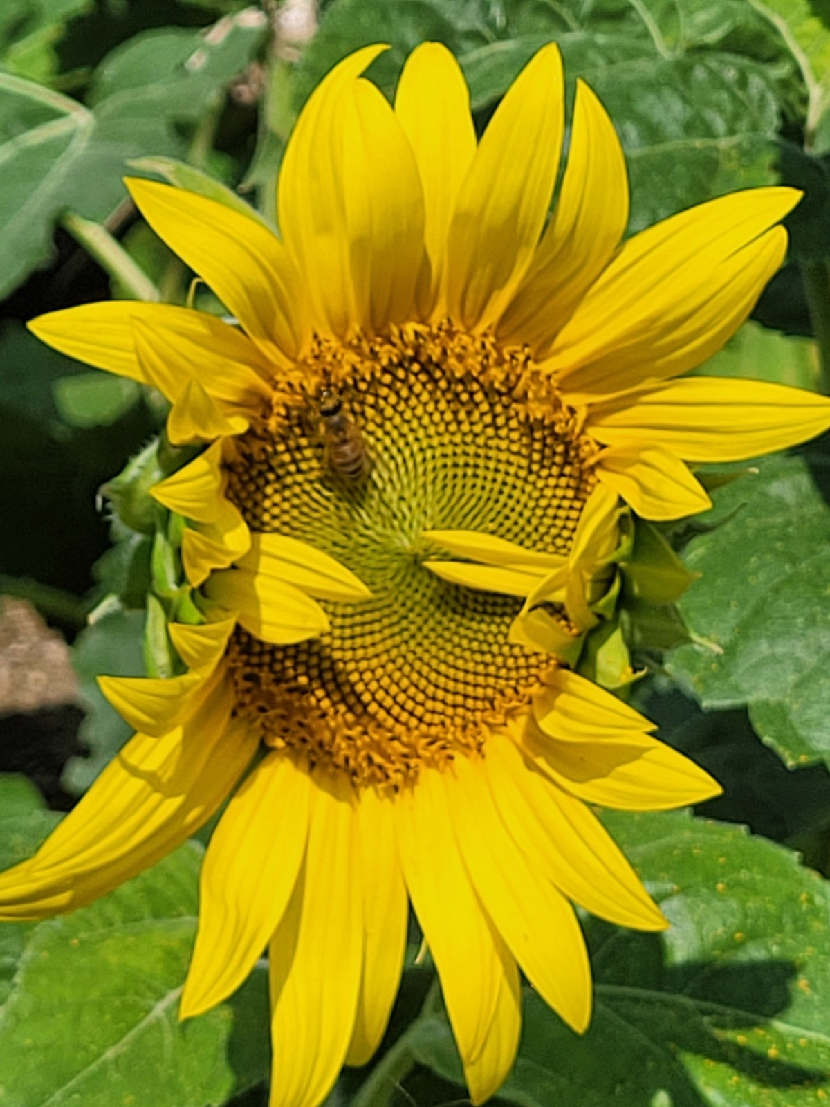 Things Are a&nbsp;Changing